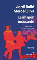 La imagen incesante : anatoma de los formatos audiovisuales