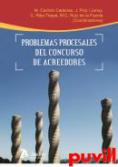 Problemas procesales del concurso de acreedores