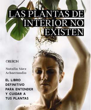 Las plantas de interior no existen
