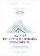 Más allá de la teoría literaria posmoderna : 6 ensayos sobre literatura desde la Crítica de la razón literaria
