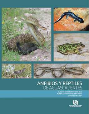 Anfibios y reptiles de Aguascalientes