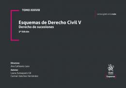 Esquemas de derecho civil, 5. Derecho de sucesiones