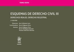 Esquemas de derecho civil, 3. Derechos reales, derecho registral