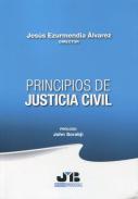 Principios de justicia civil
