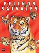 Felinos salvajes