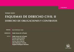 Esquemas de Derecho civil, 2. Derecho de obligaciones y contratos