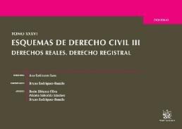 Esquemas de Derecho civil, 3. Derechos reales. Derecho registral