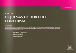 Esquemas de derecho concursal