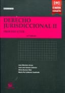 Derecho jurisdiccional, 2. Proceso Civil