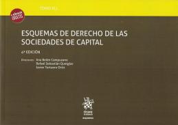 Esquemas de derecho de las sociedades de capital