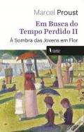 Em busca do tempo perdido, 2. À sombra das jovens em Flor