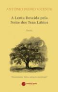 A lenta descida pela noite dos teus lábios